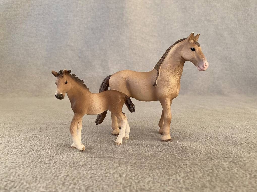 Schleich Giocattoli: Schleich Pony Agility Training Set – Nuovo (secondo la descrizione) da Zürich venduto da m4m3m2m1 1
