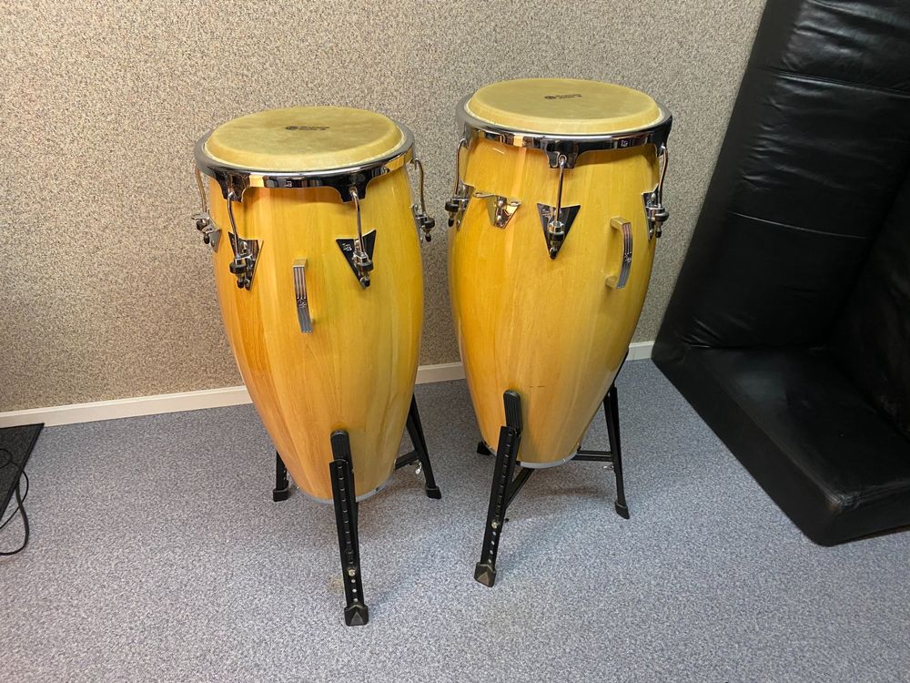 LP Performance Series Maple Congas Kaufen auf Ricardo