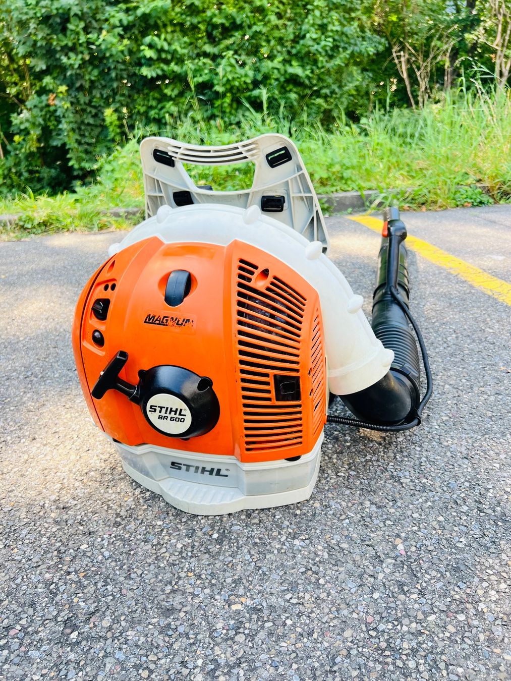 Stihl Laubbläser & Laubsauger: Laubblaser Stihl BR 600 MAGNUM – Gebraucht aus Urdorf von Faz_19 6