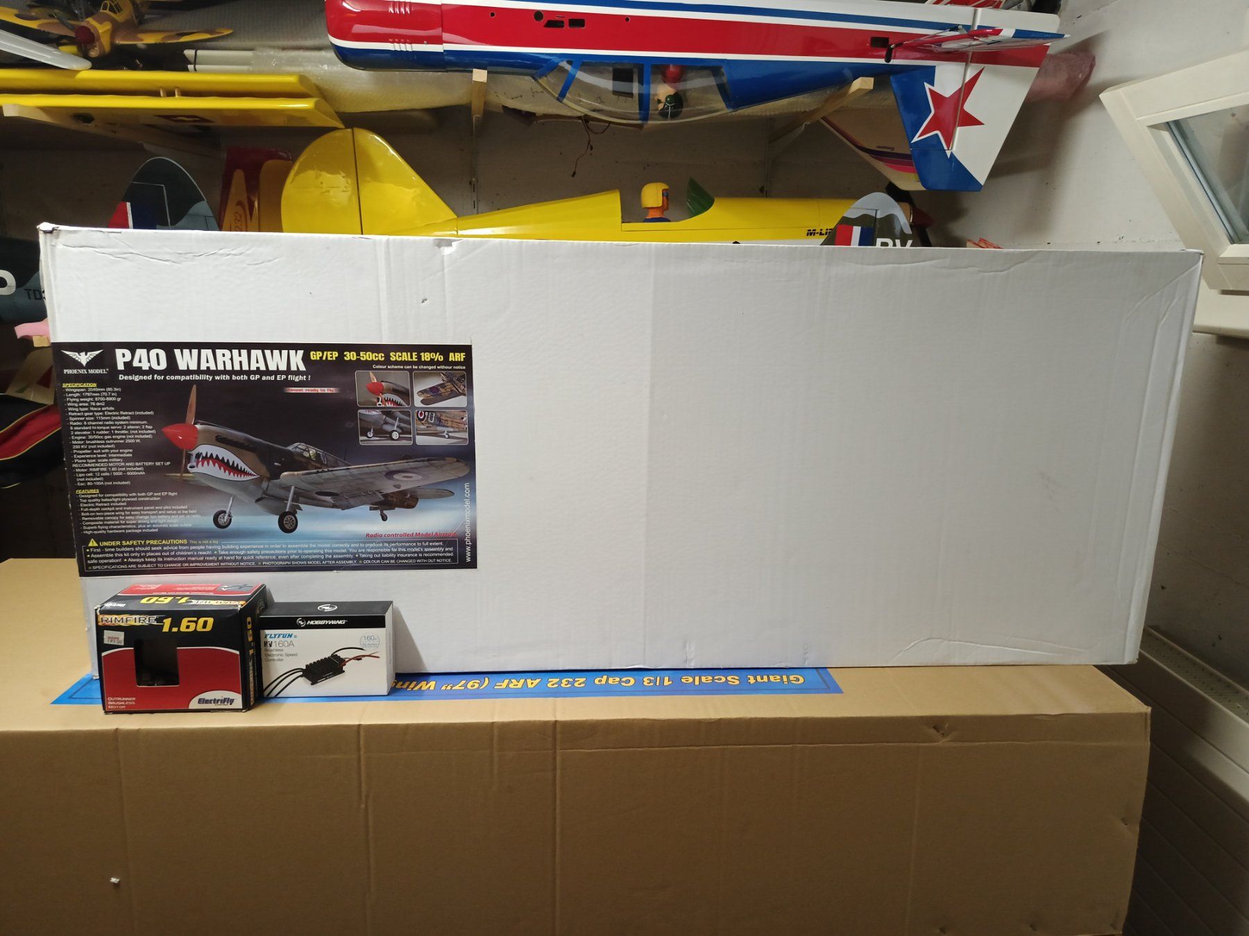 RC Modellbau: P40 warhawk  Neigelnagel Neu – Neu und originalverpackt aus Uznach von Rzeljko 1