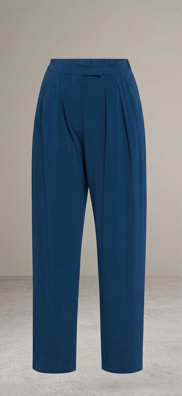 Max Mara Pantaloni: Pantalon Max Mara Leisure bleu – Nuovo (secondo la descrizione) da Echichens venduto da unideks