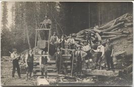 LANDWIRTSCHAFT/HOLZSAEGEN 1910