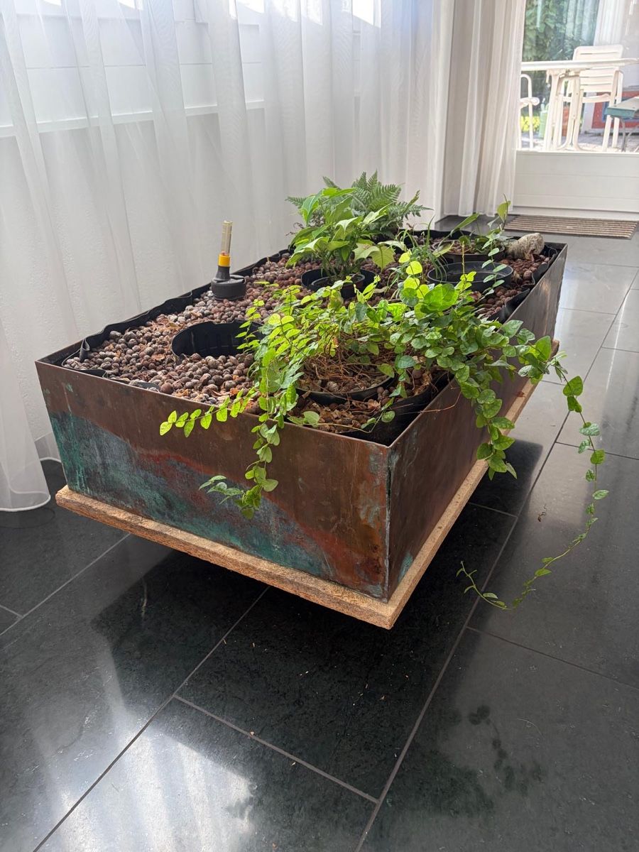 Vasi per fiori: Moderne Blumenkrippe mit eckiger Kupferwanne  – Usato da Wettingen venduto da gio_d29c 3
