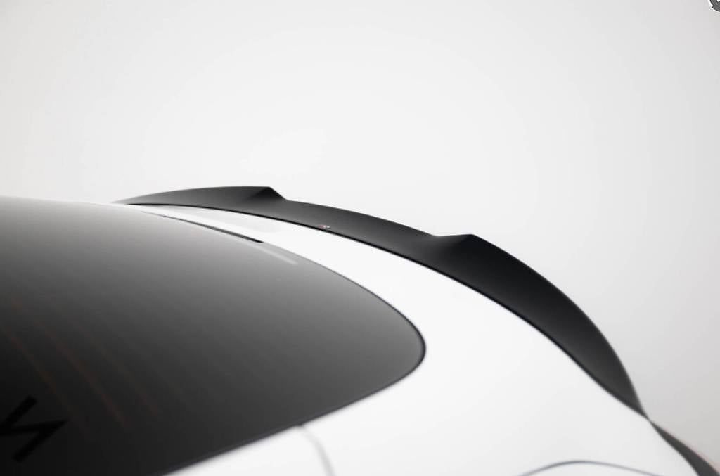 Accessori per altri veicoli: Spoiler Tesla Model 3 Maxton – Usato da Lugano venduto da MarcoPagani02
