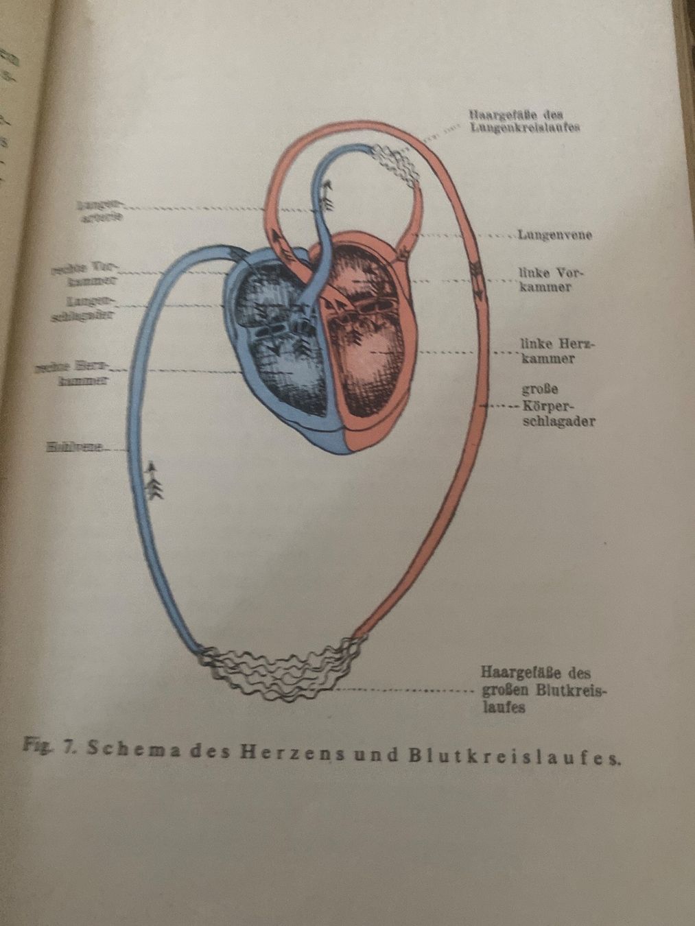 Bücher: Samariterhilfe , Buch 1937 – Gebraucht aus Baden von swiss-alps 4
