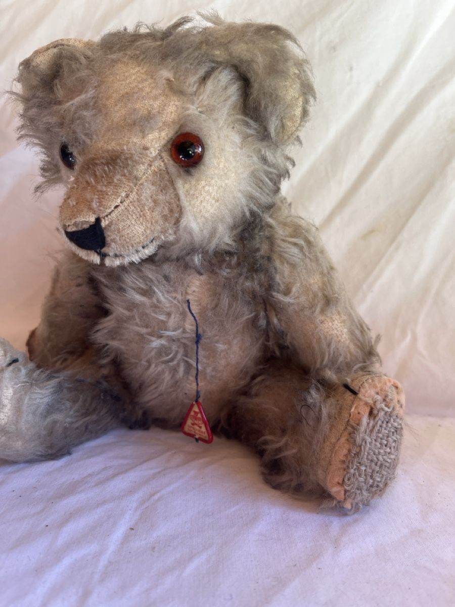 Spielzeuge: Antiker Teddybär 🧸  – Gebraucht aus Brienz BE von hey_z9vg 1