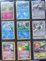 Pokémon Karten Kollektion (Englisch)