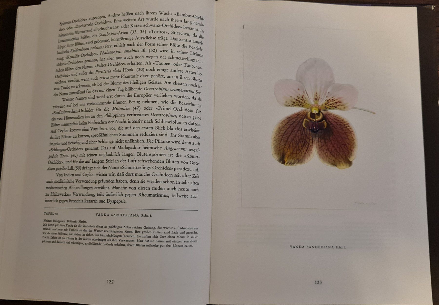 Libri: Orchideen Buch – Usato da Baden venduto da swiss-alps 5
