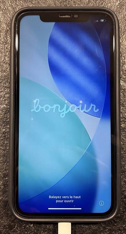 Telefoni: iPhone 11 noir bon état 64 Go – Usato da Poliez-le-Grand venduto da Ced83