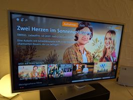 Panasonic Fernseher 42 Zoll