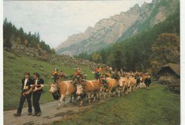 Sigriswil  Alpabzug