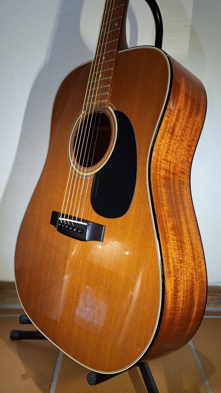 Strumenti musicali: Western Gitarre Morris WT-19 – Usato da Winterthur venduto da NorrSydGuitars 5