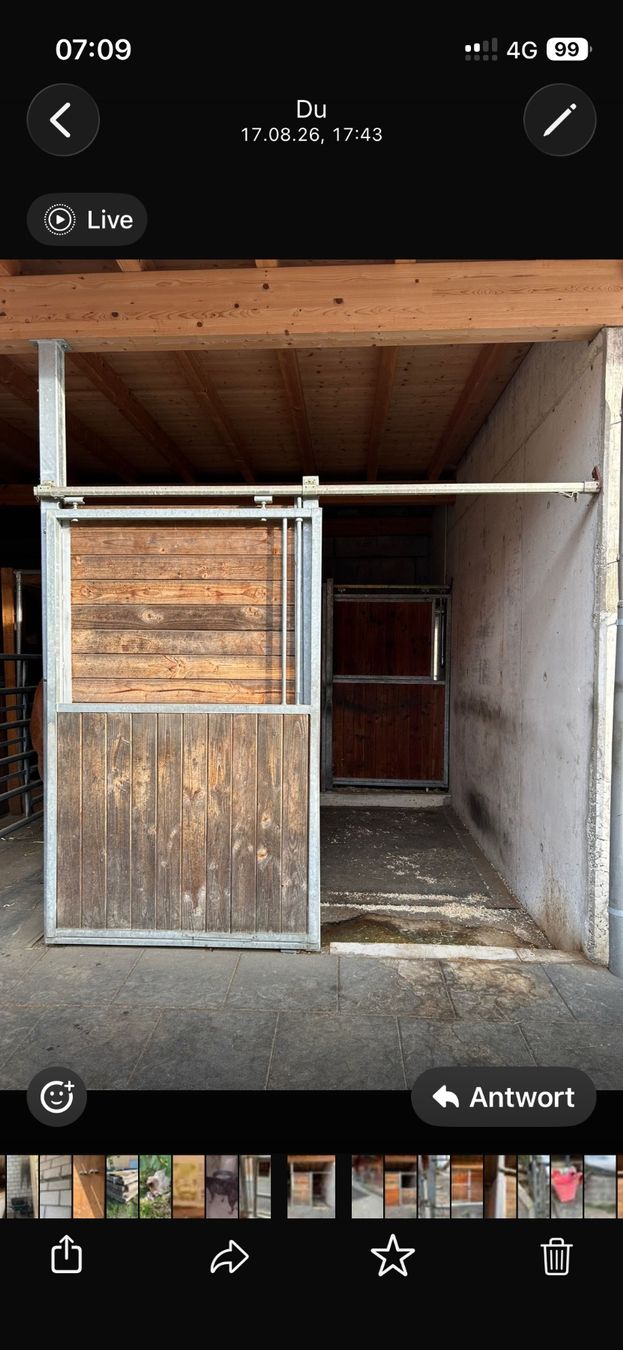 Türen: Pferdebox Wandelemente und Türen – Gebraucht aus Giswil von juni09 2