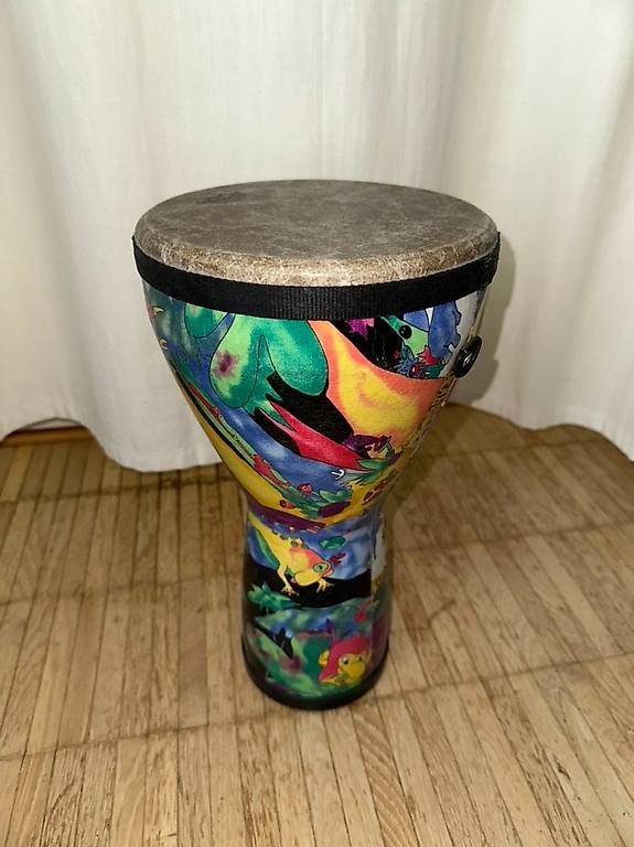 Strumenti musicali: Remo Kid's Djembe – Usato da Zürich venduto da sg03