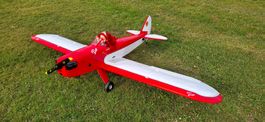 Fly Baby von VQ-Models - leer und daher ab CHF 1.00 !!!