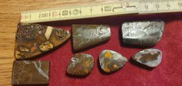 7 Boulder Opale