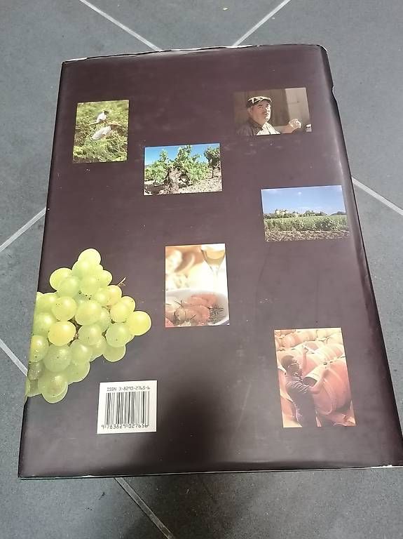 Libri: Weinbuch – Usato da Altdorf UR venduto da Tulipani0 1