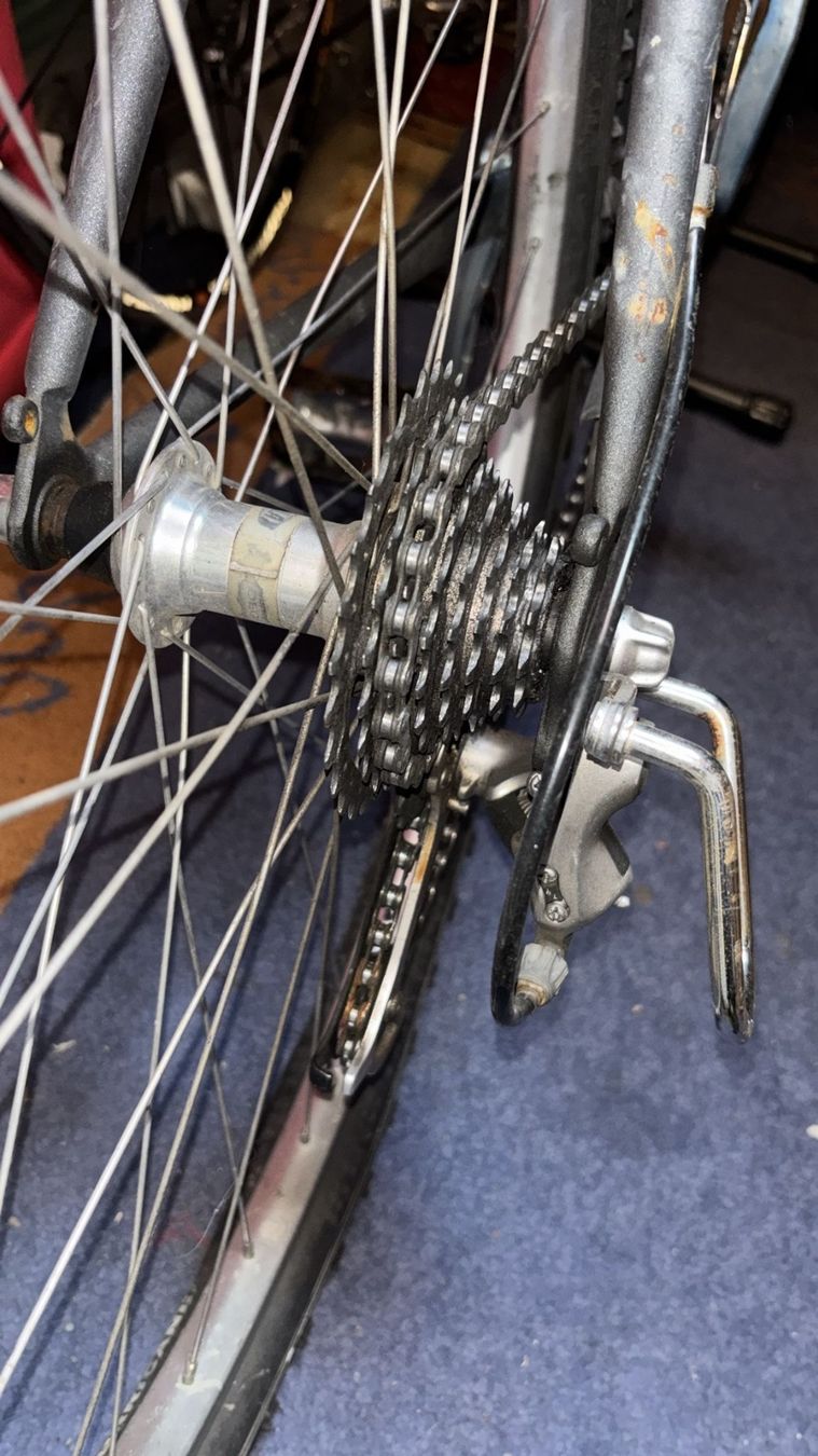 Biciclette: Rocky Mountain Equipe – Usato da Wengen venduto da Bemorg 9