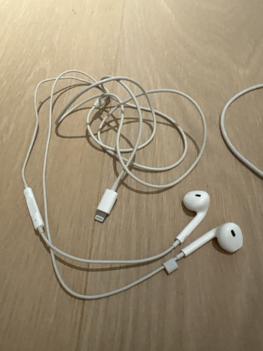 Apple Kopfhörer: Apple Kopfhörer mit Lighting / Kabel mit Lighting – Gebraucht aus Neuhausen von ann-kathrin9 2