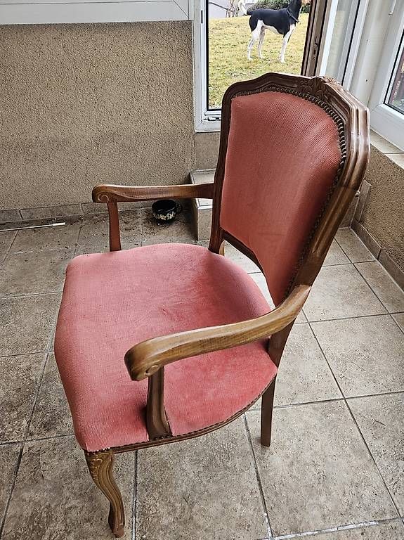 Chaises: Stuhl gepolstert – D'occasion à Zuchwil par Sparkling_85 2