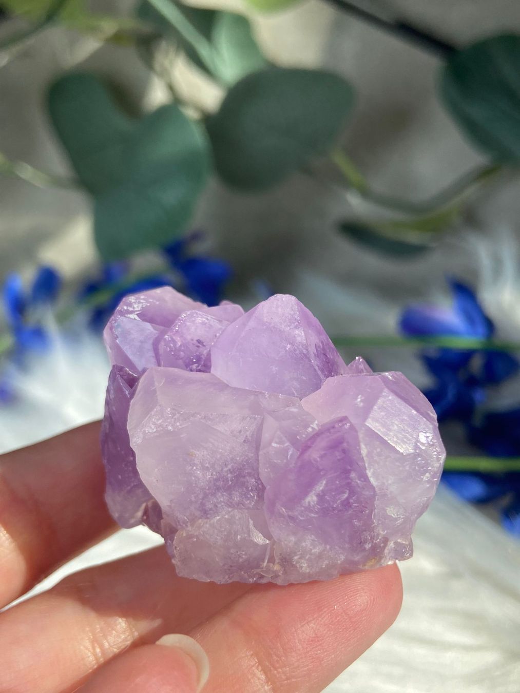 Edelsteine: Amethyst Flower Points – Neu (gemäss Beschreibung) aus Neuheim von m.hald 2