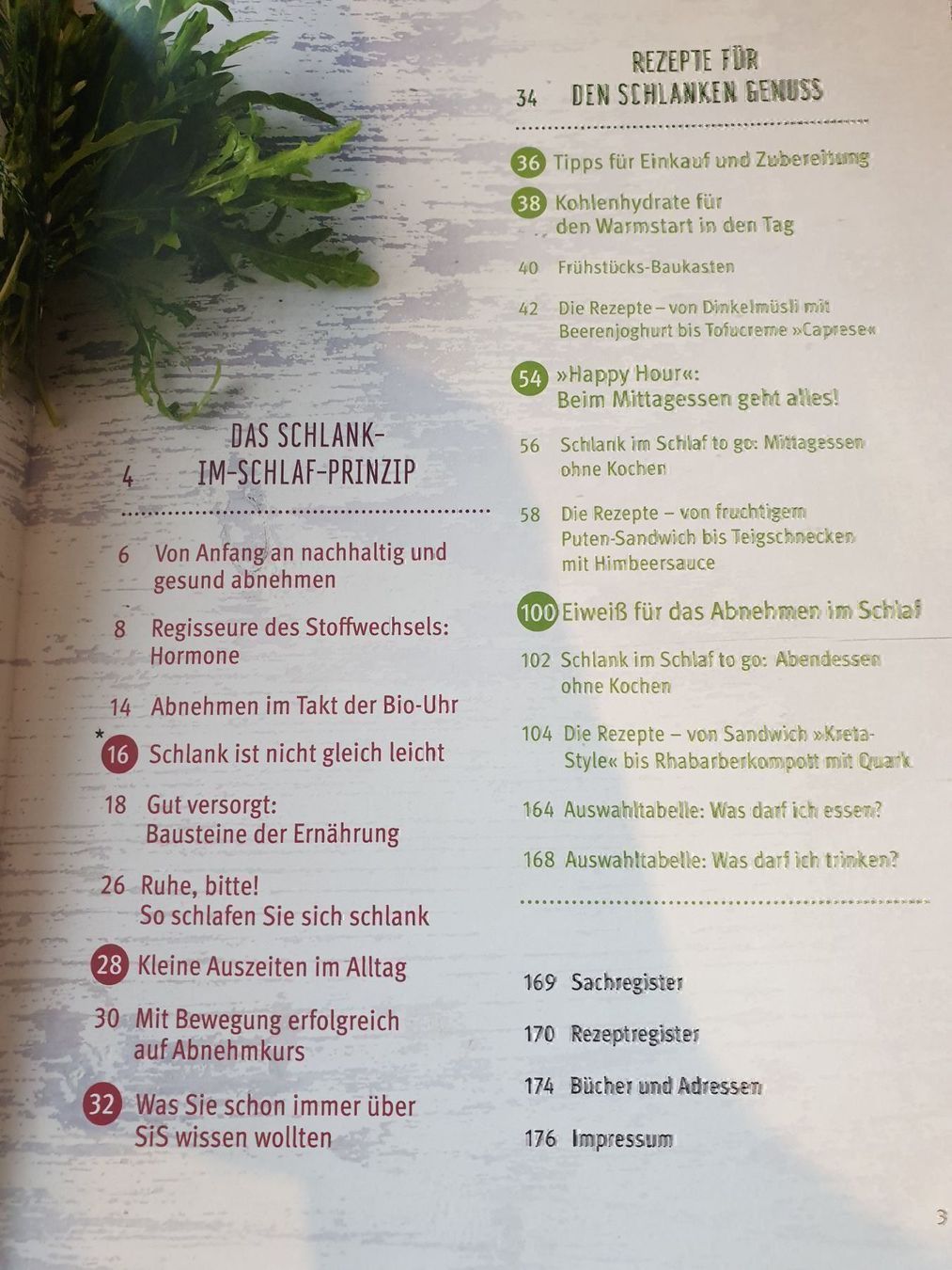 Libri: Schlank im schlaf das Kochbuch – Nuovo (secondo la descrizione) da Felben-Wellhausen venduto da Brummbaer90 1
