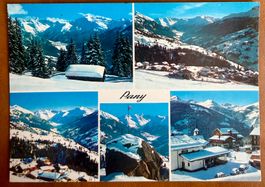Pany - Multivue winter