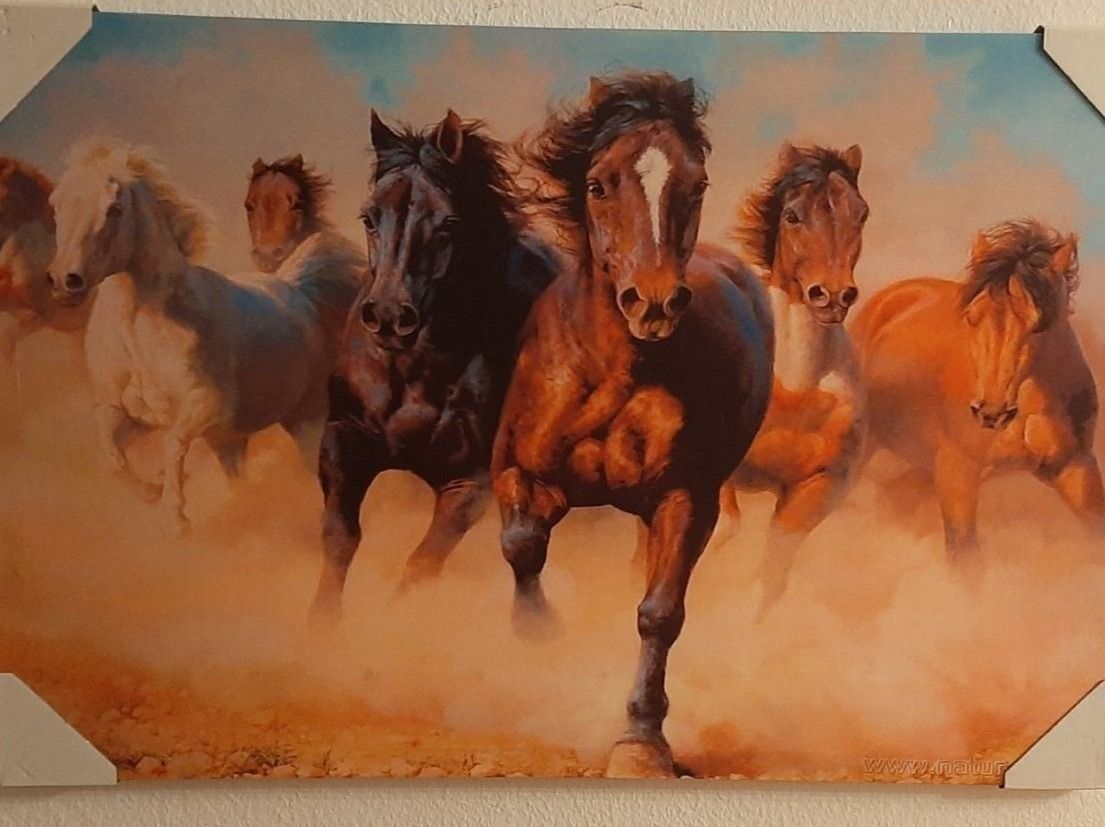 Poster & Bilder: The Horses LED Kunstbild gross / Pferde – Neu und originalverpackt aus Kilchberg ZH von ruedi34