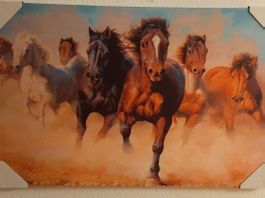 The Horses LED Kunstbild gross / Pferde