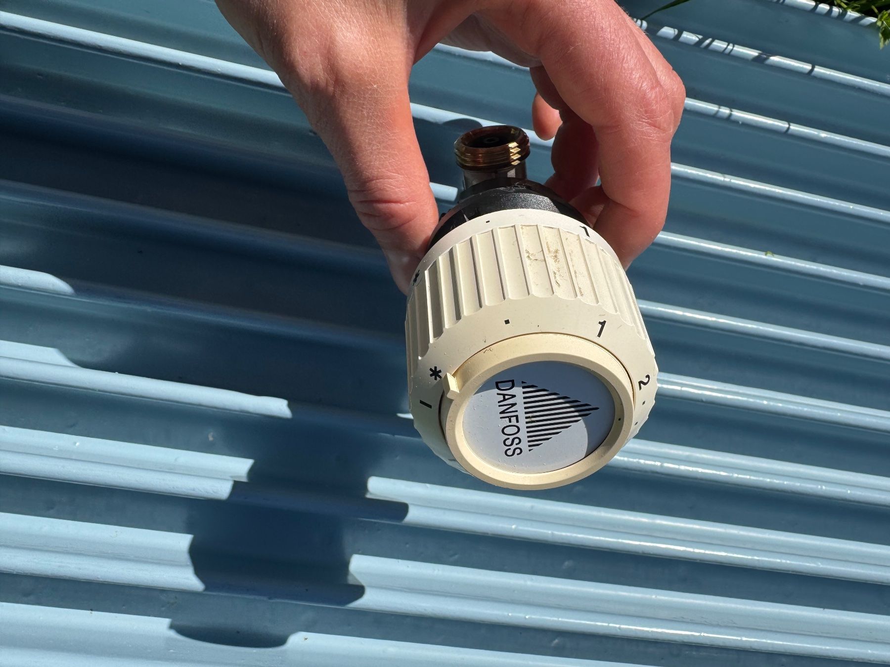 Radiatori: Radiator hellblau – Usato da Grossaffoltern venduto da ste_jth8 2