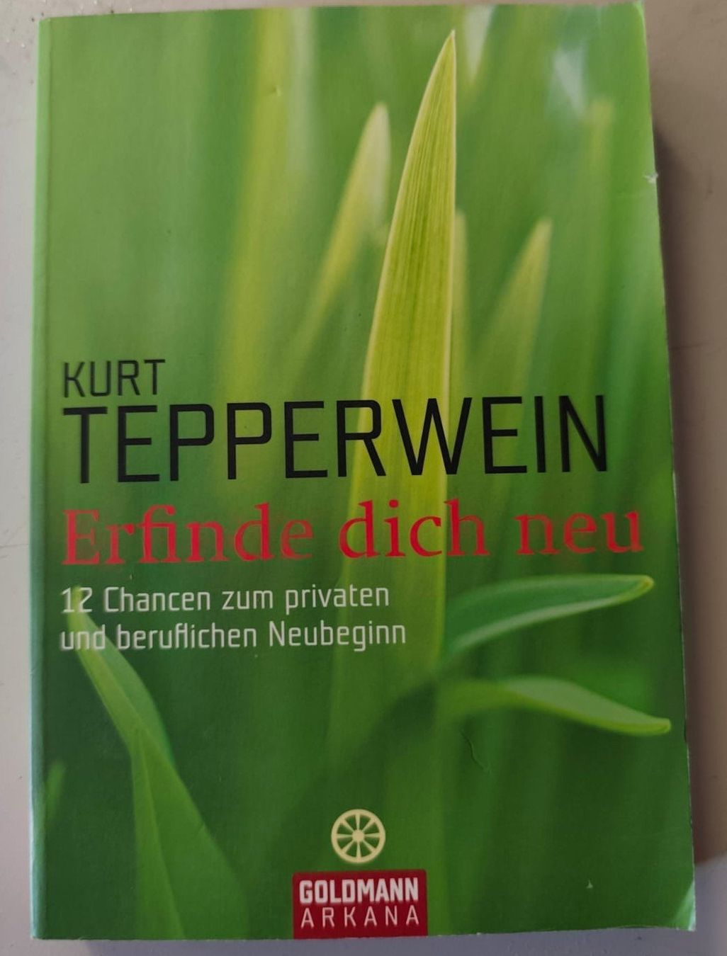 Bücher: Buch: Erfinde dich neu – Kurt Tepperwein – Gebraucht aus Gelterkinden von rofank68