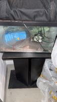 Aquarium und Zubehör gebrauchter Zustand 