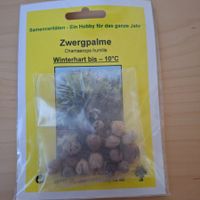 Winterharte Zwergpalmensamen Chamaerops humilis