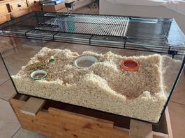 Glas-Terrarium Gehege Nager Aquarium guter Zustand