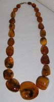 Bernstein Kette mit Insekt