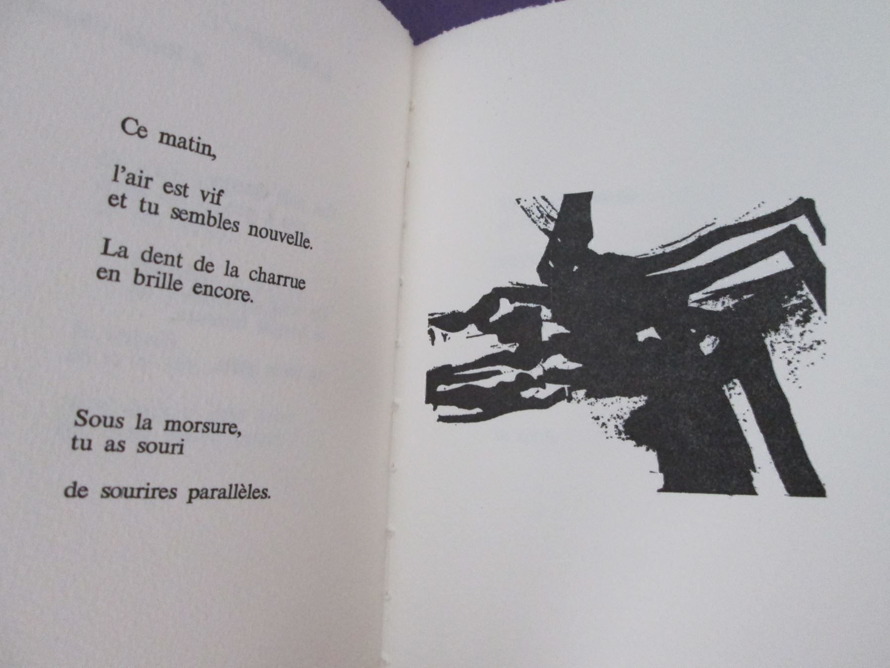 Libri: Graines - Poèmes – Usato da Neuchâtel venduto da Dualseele 4