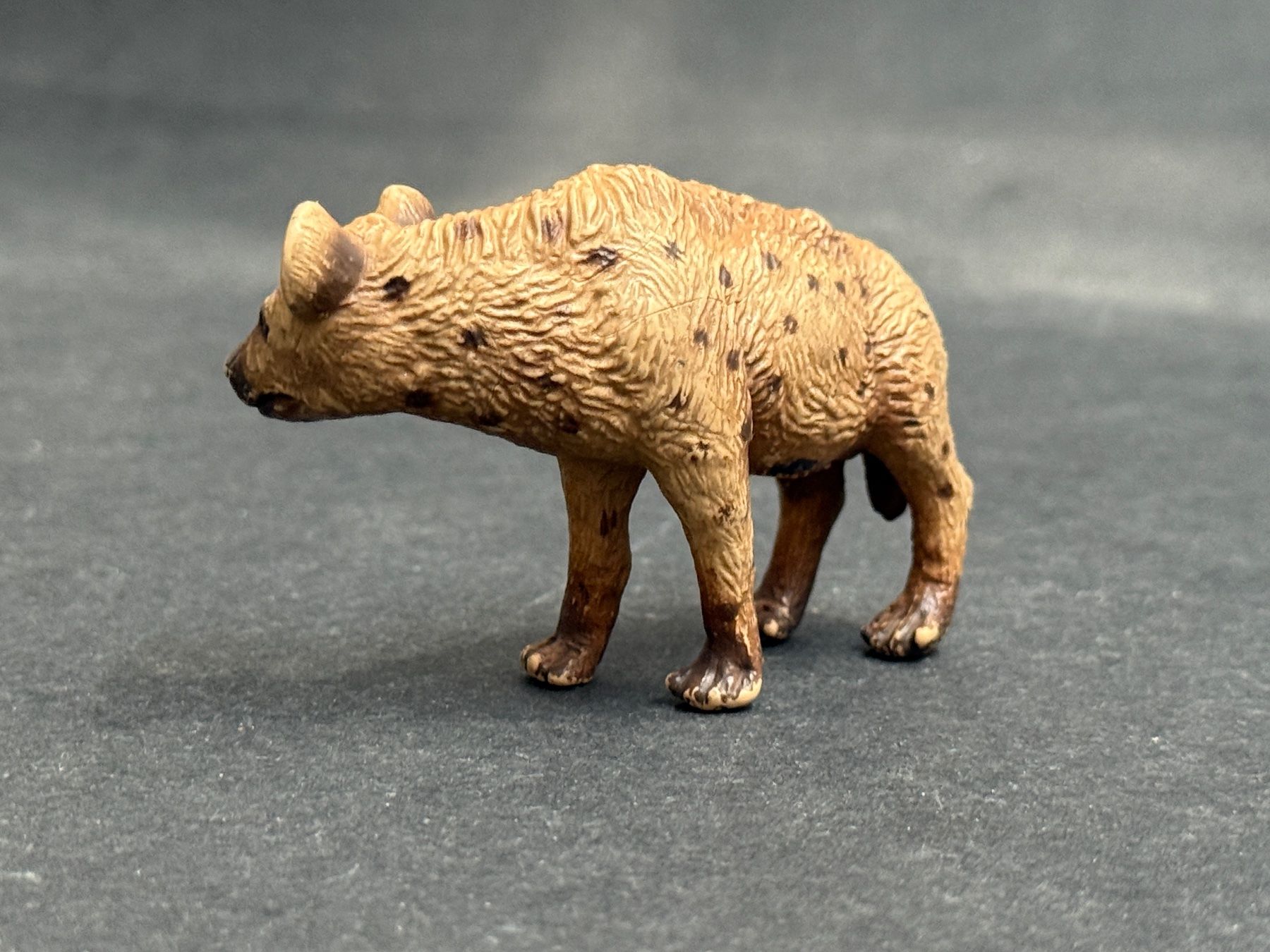 Schleich Figuren: Schleich Hyäne 1996 made in Germany Tüpfelhyäne – Gebraucht aus Ennetbaden von mapa05 4