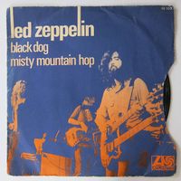 Led Zeppelin Black Dog