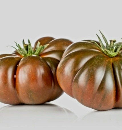 Pflanzen & Samen: Ab 5.- fr 5 Samen schwarze RIPPENTOMATE – Neu und originalverpackt aus Rovio von POSITIFFARTandPLANTS 5