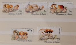 GUINEA – PILZE / GUNÉE - CHAMPIGNONS