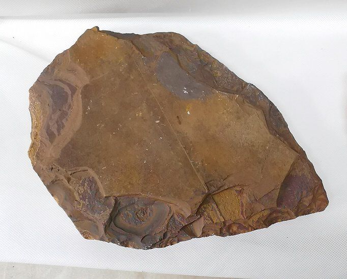 Minerali & Pietre curative: Tigerauge Rohstein – Nuovo (secondo la descrizione) da Walenstadt venduto da vkt_qc8d 2
