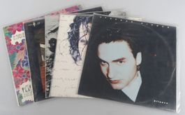 Schallplatten Lot Schweizer Musik