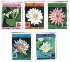 Briefmarken "Seerosen". Afghanistan