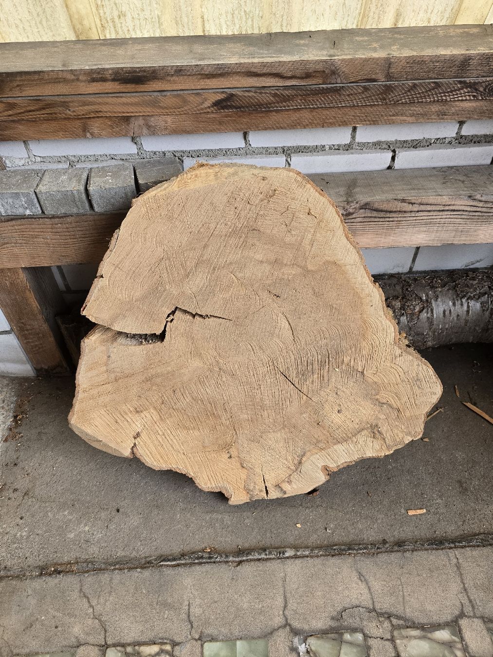 Articles en bois: Eschen Baumscheibe – Neuf (Voir description) à Ramsei par Waelchris