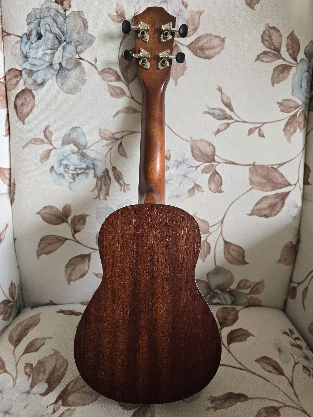Instruments de musique: Ukulele – D'occasion à Winterthur par Peykk 3