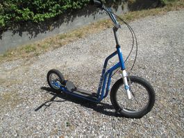 Trottinett Erwachsene