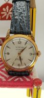 Montre vivia