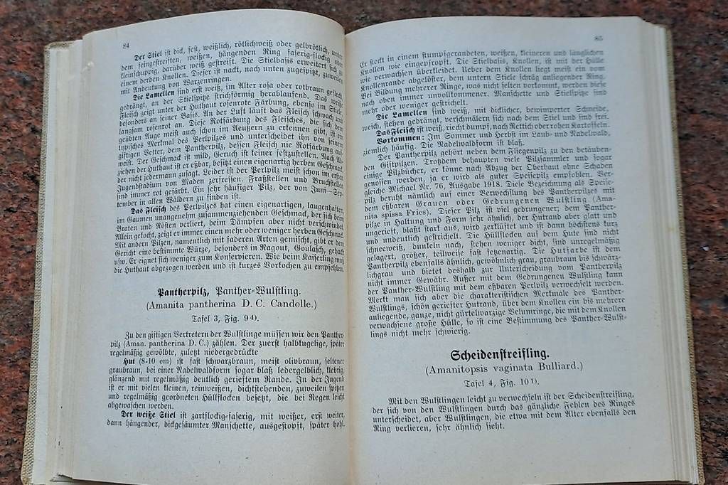 Libri: Pilzbücher div. ab Fr. 8.00 – Usato da Untersiggenthal venduto da Myrthamw 1