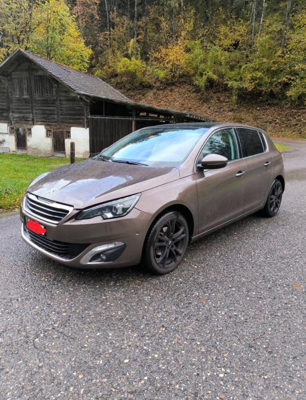 Peugeot Automobili: Peugeot 308 1.6 – Usato da Meiringen venduto da ric_2qn5 1