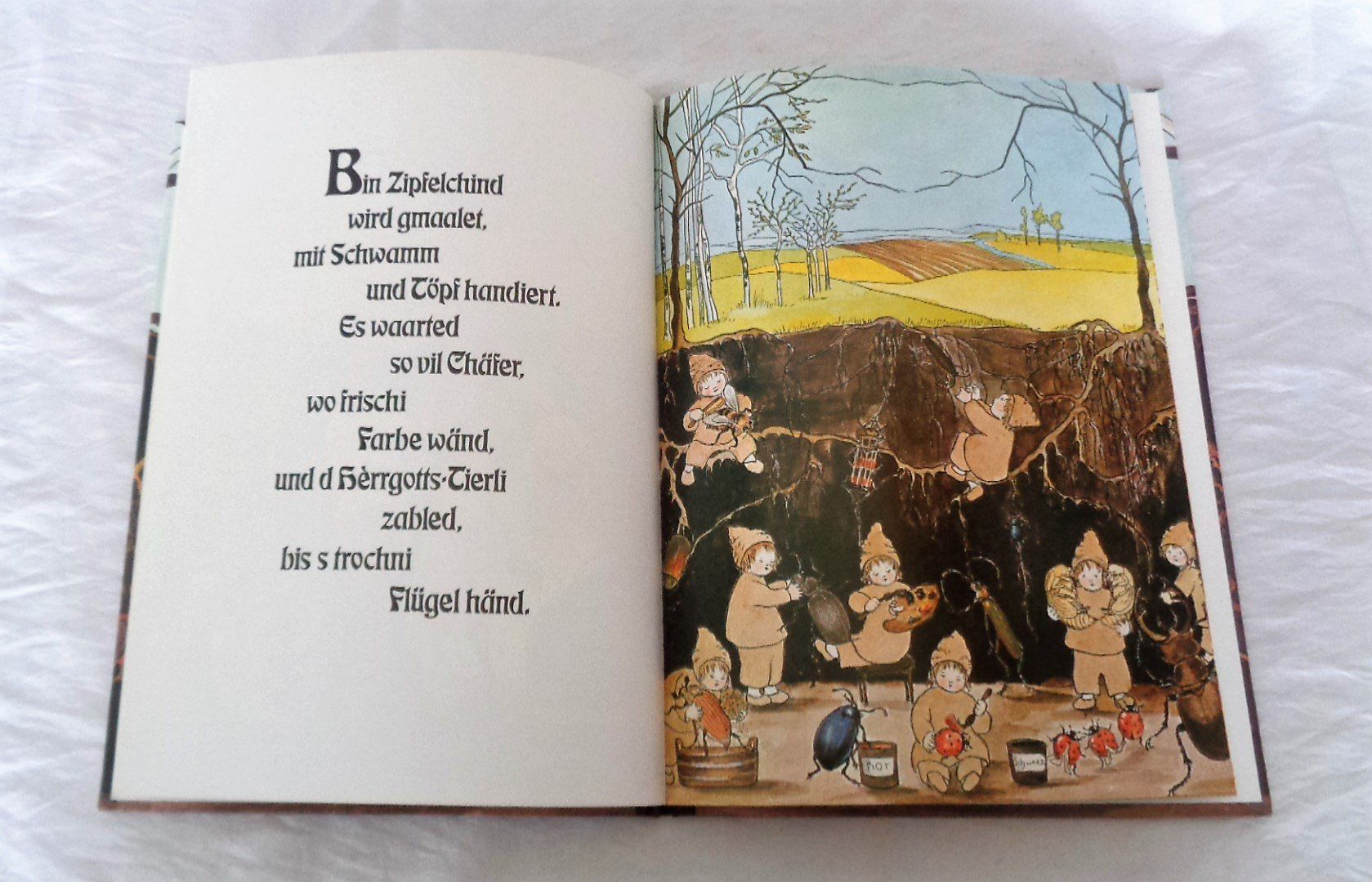 Libri: Wurzelkinder Schweizerdeutsch / Bilderbuch ab Fr. 10.- – Usato da Bellach venduto da JingleJerry 4